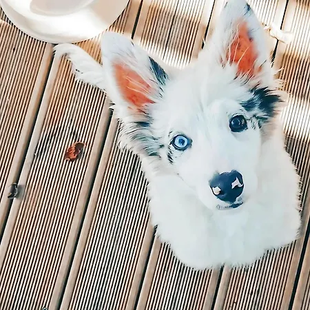 Villaggio Duca Amedeo 3* מרטינסיקורו