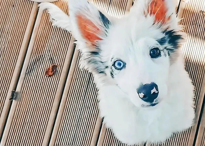 Villaggio Duca Amedeo 3* マルティンシクーロ